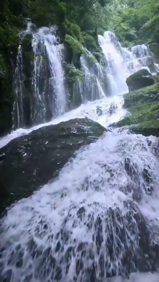 篮球运动员营救