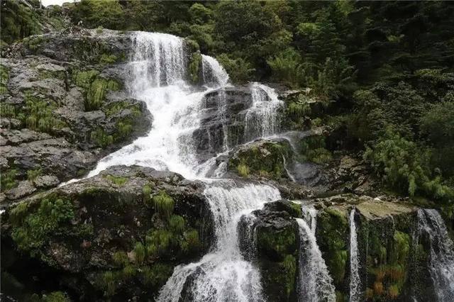 蜂王救援